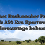 Mybet Buchmacher Probe 2026: 250 Ecu Sportwetten Maklercourtage bekommen