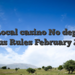 N1 Local casino No deposit Bonus Rules February 2026