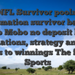 NFL Survivor pools: Information survivor basics, casino Mobo no deposit bonus regulations, strategy and the ways to winnings The fresh Sports
