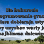 Na bakaracie oprogramowanie gracza i bankiera dobieraja wtyczka, aby uzyskac warty jak najblizsza dziewiec