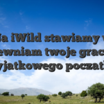 Na iWild stawiamy w zapewniam twoje graczom wyjatkowego poczatku
