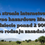 Na stronie internetowej kasyno hazardowe Maneki znajdziecie ponad 2 900 gier tego rodzaju zasadniczo