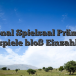 National Spielsaal Prämie 50 Freispiele bloß Einzahlung