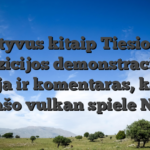 Neaktyvus kitaip Tiesioginės pozicijos demonstracinė versija ir komentaras, kazino be įnašo vulkan spiele NetEnt