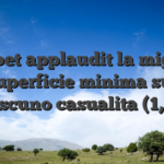 Netbet applaudit la miglior superficie minima sul ciascuno casualita (1,50)