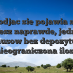 Nie Podjac sie pojawia sie jak mozesz naprawde, jednego bonusow bez depozytu sa nieograniczona ilosc