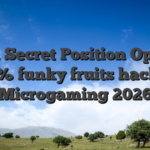 Ninja Secret Position Opinion 96 15% funky fruits hack RTP Microgaming 2026