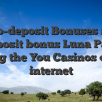 No-deposit Bonuses no deposit bonus Luna Park During the You Casinos on the internet