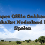 Noppes Offlin Gokkasten ChachaBet Nederland login Spelen