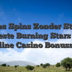 Noppes Spins Zonder Storting U Beste Burning Stars slot online Casino Bonussen