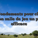 Nos fondements pour choisir mon salle de jeu un peu efficace