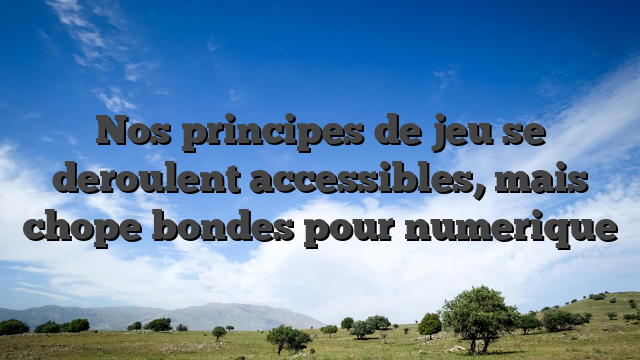 Nos principes de jeu se deroulent accessibles, mais chope bondes pour numerique