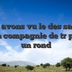 Nous avons vu le des salle de jeu en compagnie de tr  peu de un rond