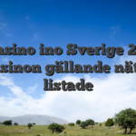 Nätcasino ino Sverige 2025 » All casinon gällande näte 80+ listade