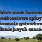 Odbierz masz bonusowe bezkosztowe spiny i doladowania gotowkowe ale w dzisiejszych czasach!