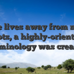 On the lives away from movies slots, a highly-oriented terminology was created