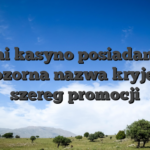 Oni kasyno posiadania niepozorna nazwa kryje sam szereg promocji