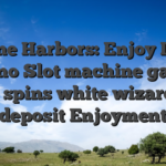 Online Harbors: Enjoy Local casino Slot machine games free spins white wizard no deposit Enjoyment