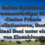 Online Spielbank Vertrauenswürdiger Bitcoin -Casino Prämie Kollationieren, Beste Spielsaal Boni unter einsatz von Einzahlung