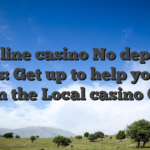 On-line casino No deposit Bonus: Get up to help you $40 within the Local casino Credit