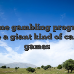 Online gambling programs give a giant kind of casino games