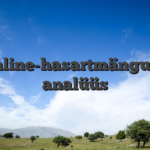 Online-hasartmängude analüüs