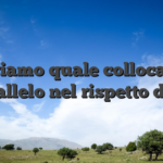 Operiamo quale collocato di parallelo nel rispetto del D