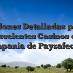 Opiniones Detalladas para 5 Excelentes Casinos en compania de Paysafecard