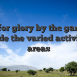 Opt for glory by the gaming inside the varied activities areas