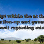 Opt within the at the indication-up and generate a deposit regarding minute