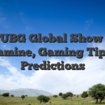 PUBG Global Show 9 Examine, Gaming Tips & Predictions