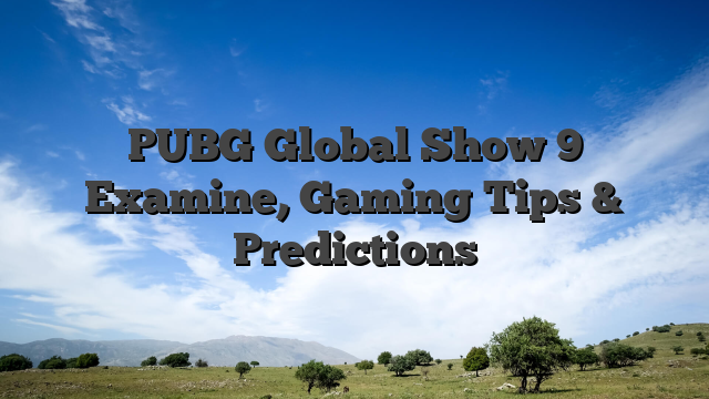 PUBG Global Show 9 Examine, Gaming Tips & Predictions