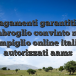 Pagamenti garantiti e imbroglio convinto nei scompiglio online italiani autorizzati aams