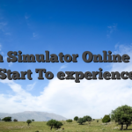 Panda Simulator Online Game Start To experience