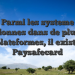 Parmi les systeme abandonnes dans de plusieurs plateformes, il existe Paysafecard