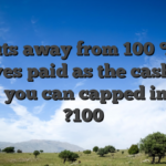 Payouts away from 100 % free revolves paid as the cash fund and you can capped in the ?100