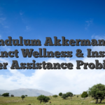 Pendulum Akkermansia Instinct Wellness & Instinct Liner Assistance Probiotic