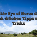Perfekte Eye of Horus diesen Link drücken Tipps und Tricks