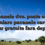 Persoanele dvs. poate ob?ine populare pacanele care au tambur gratuite fara depunere