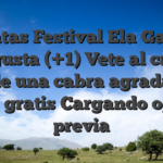Pinatas Festival Ela Games Me gusta (+1) Vete al carajo hijo de una cabra agrada (+3) Retar gratis Cargando ojeada previa