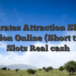 Pirates Attraction Slot Opinion Online (Short twist) Slots Real cash
