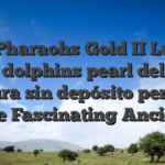 Play Pharaohs Gold II Luxury 100 dolphins pearl deluxe ranura sin depósito percent free Fascinating Ancient