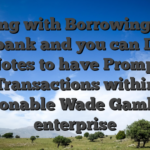 Playing with Borrowing from the bank and you can Debit Notes to have Prompt Transactions within Reasonable Wade Gambling enterprise