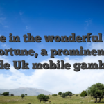 Plunge in the wonderful world of mFortune, a prominent term inside Uk mobile gambling