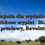 Podejscia dla wydatkow i szybkosc wyplat � BLIK, przelewy, Revolut