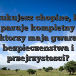 Poszukujesz chopine, ktora moze pasuje kompletny swiat gier ktorzy maja gwarancja bezpieczenstwa i przejrzystosci?