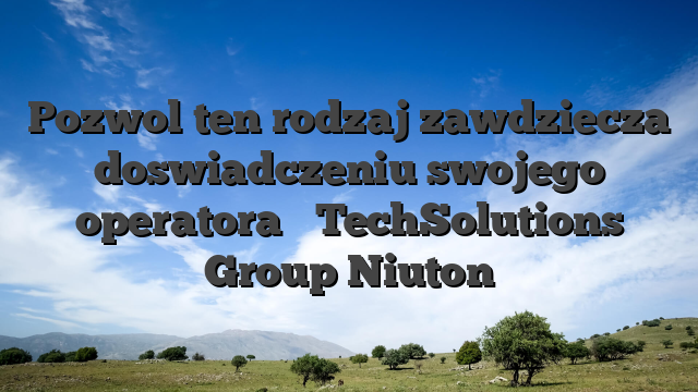 Pozwol ten rodzaj zawdziecza doswiadczeniu swojego operatora � TechSolutions Group Niuton