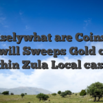 Preciselywhat are Coins and you will Sweeps Gold coins within Zula Local casino