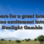 Prepare for a great internet casino excitement into the Sunlight Gamble
