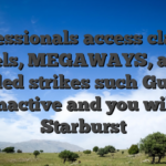 Professionals access classic reels, MEGAWAYS, and branded strikes such Guide of Inactive and you will Starburst